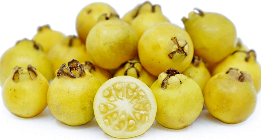 25 Fruits of Madeira Island - Araçal